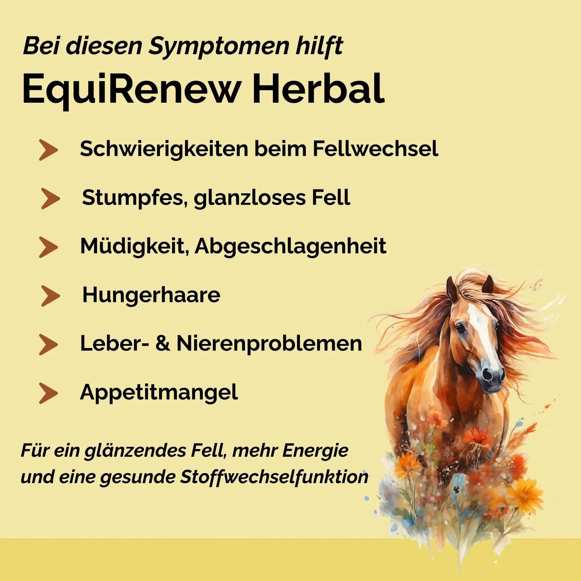 EquiRenew Herbal Fellwechsel Beim Pferd Unterstützen Mit Stoffwechsel Kräutern Für Leber Und Nieren Entgiftung Pferd by s`Queed