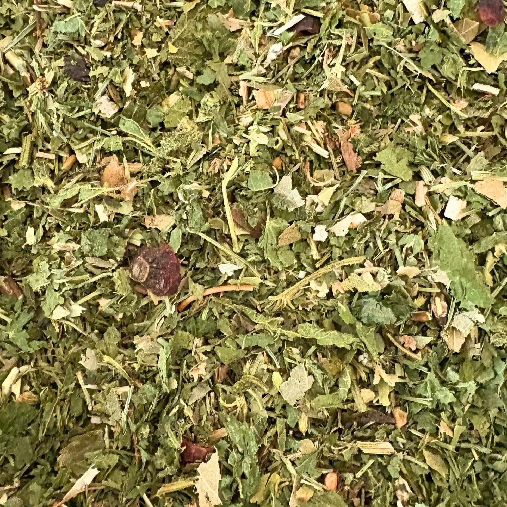 EquiRenew Herbal Fellwechsel Beim Pferd Unterstützen Mit Stoffwechsel Kräutern Für Leber Und Nieren Entgiftung Pferd by s`Queed