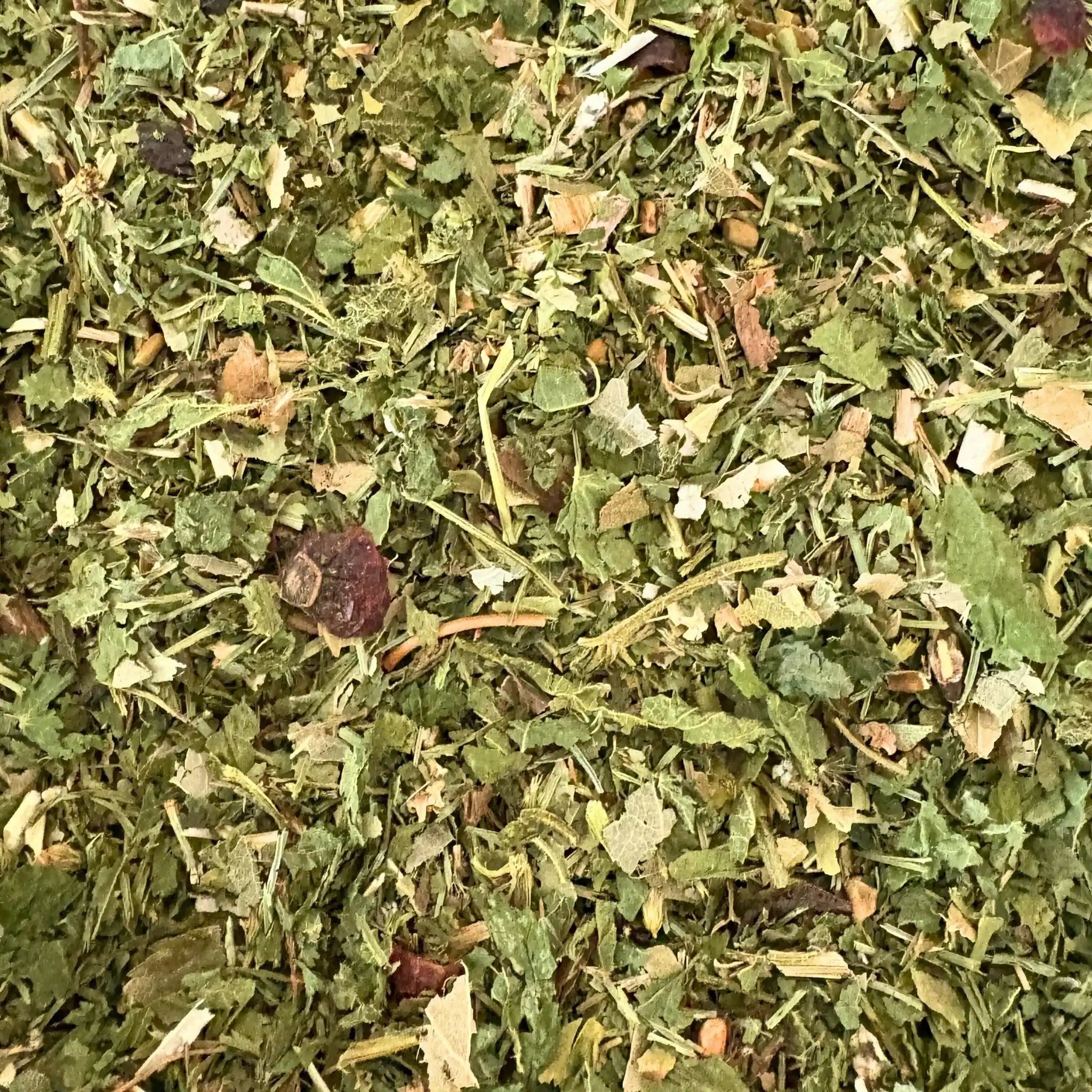 EquiRenew Herbal Fellwechsel Beim Pferd Unterstützen Mit Stoffwechsel Kräutern Für Leber Und Nieren Entgiftung Pferd by s`Queed