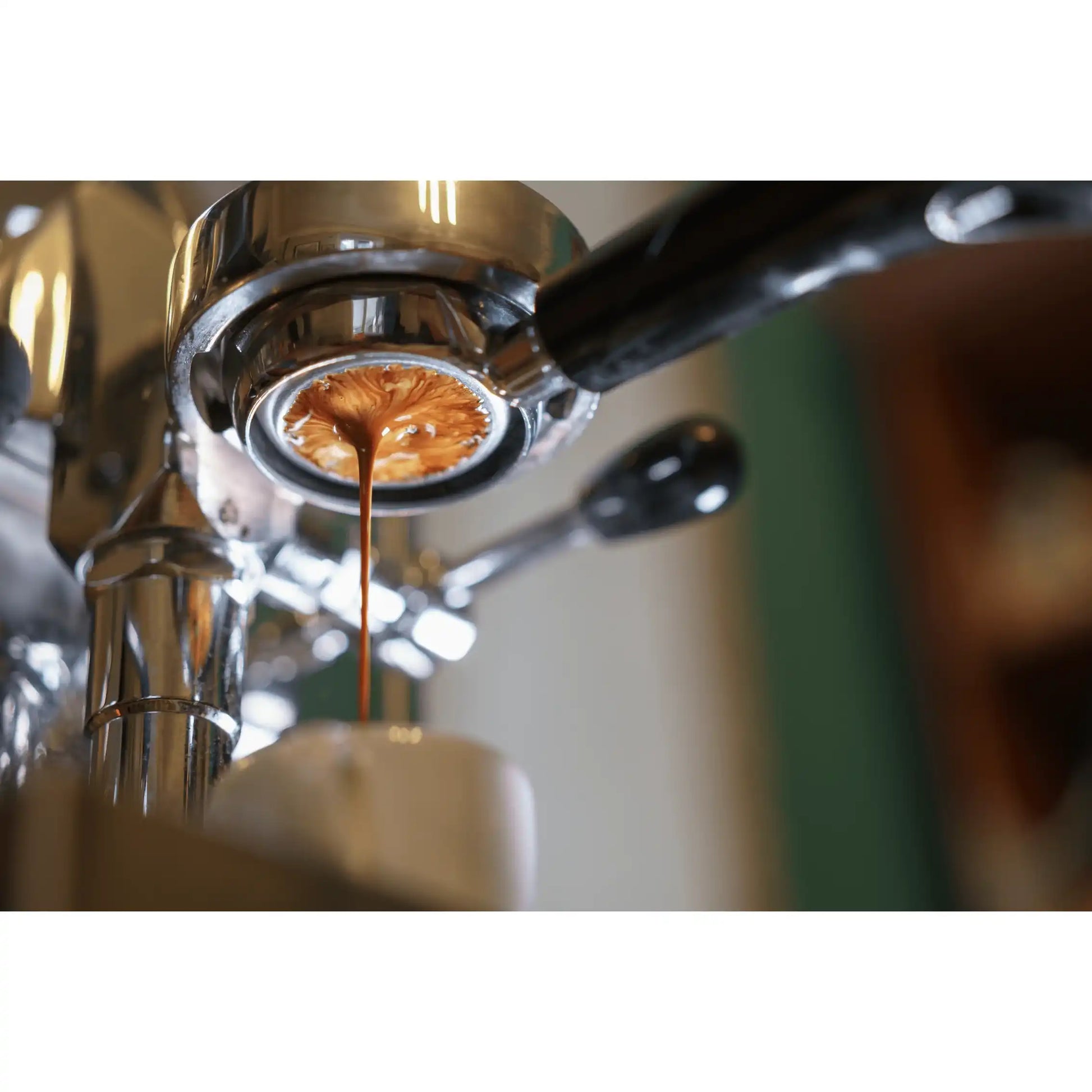 Blend No.1 I 70% Arabica & 30% Robusta by True Beans Kaffeerösterei Köln