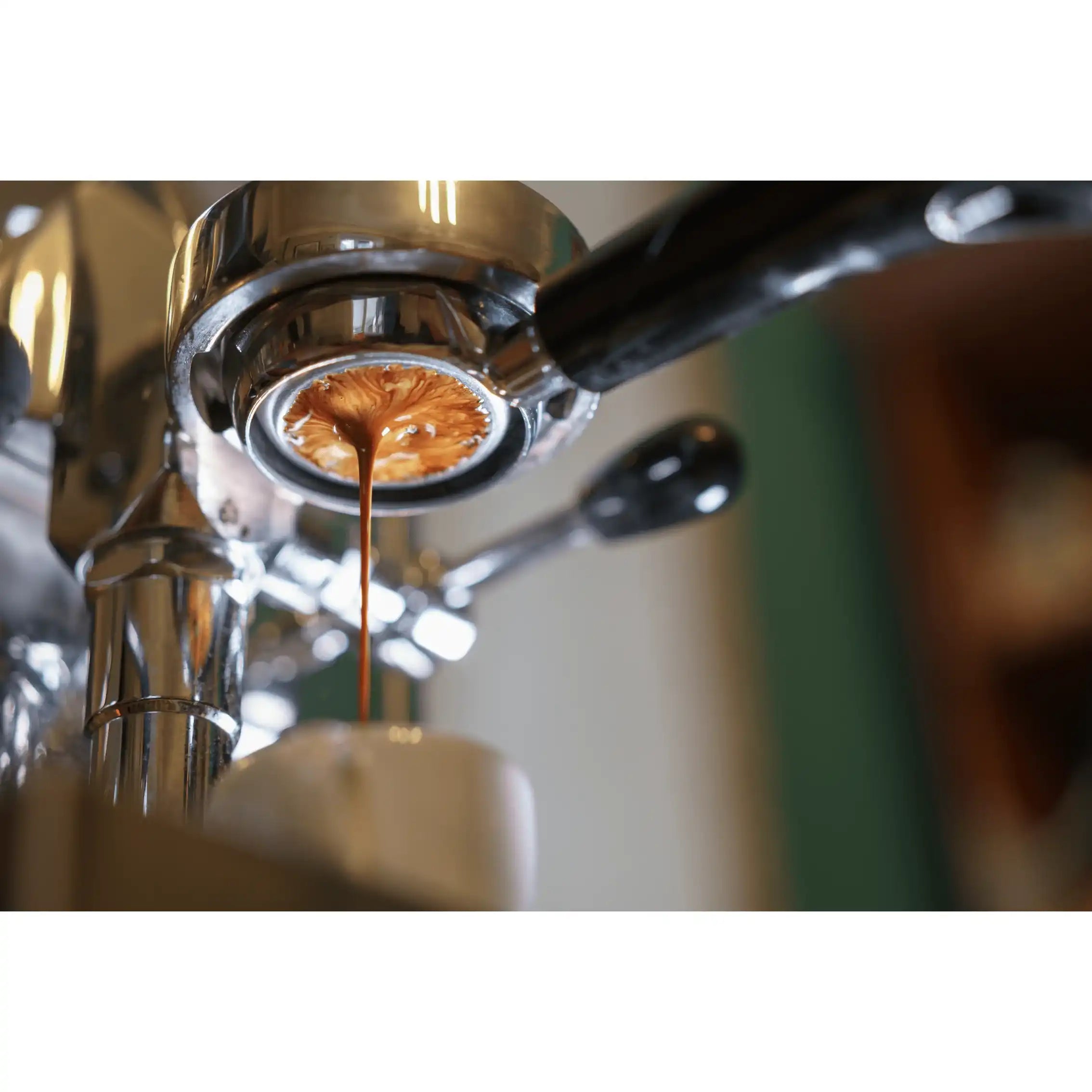 Blend No.1 I 70% Arabica & 30% Robusta by True Beans Kaffeerösterei Köln