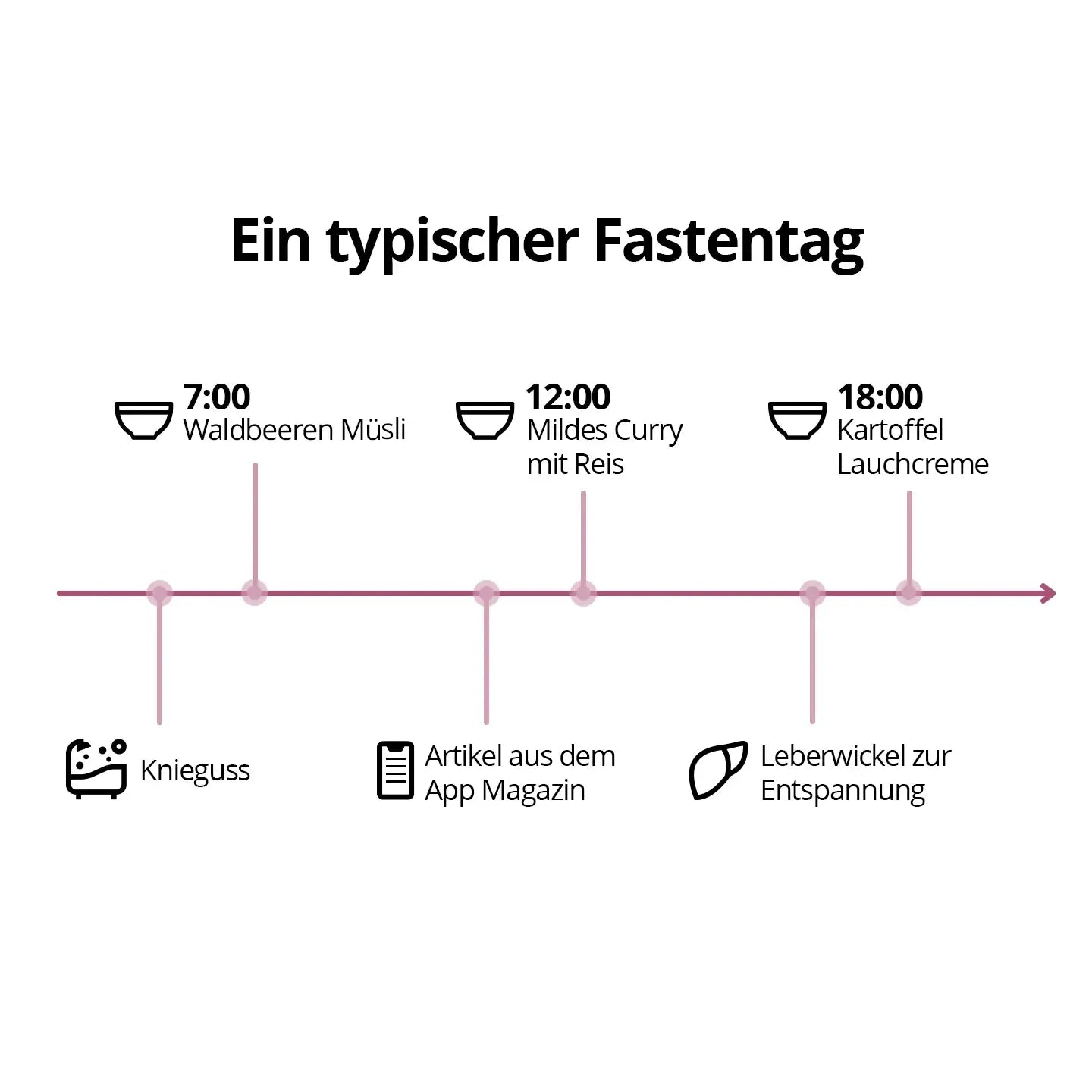 5 Tage Fastenbox - LeberVital