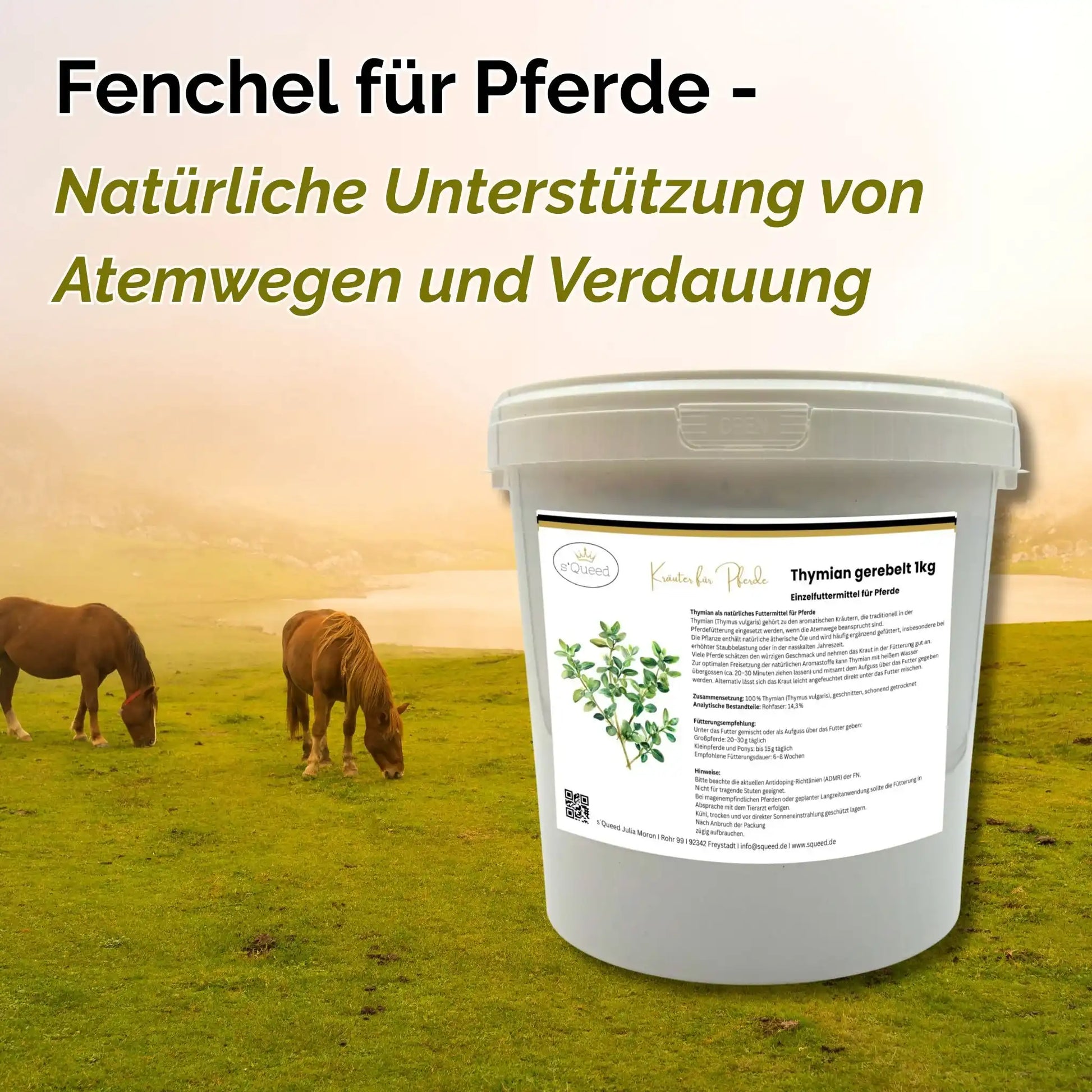 Fenchel Für Pferde 1 Kg Bewährtes Kraut Für Atemwege Verdauung Als Einzelfuttermittel Pferde by s`Queed