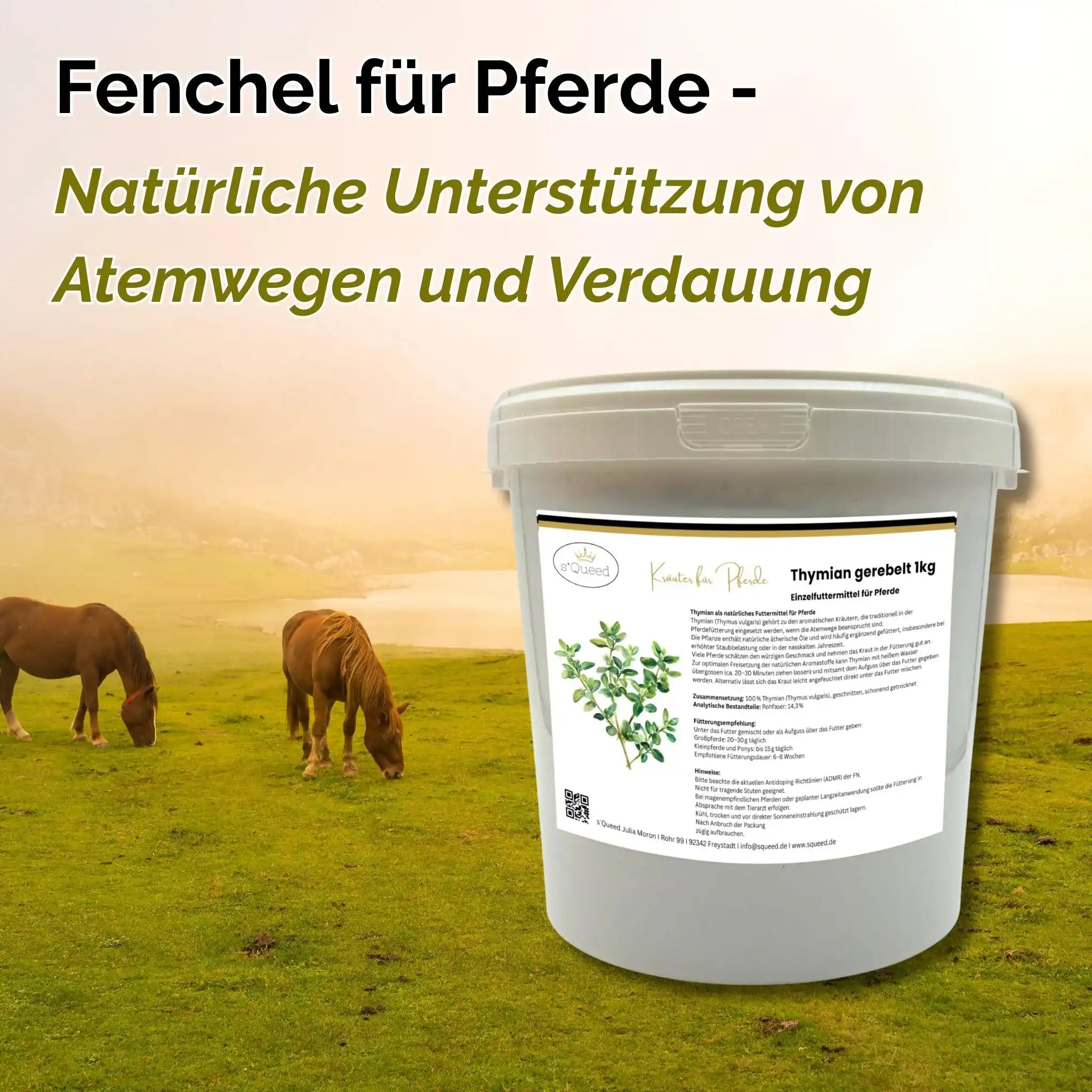 Fenchel Für Pferde 1 Kg Bewährtes Kraut Für Atemwege Verdauung Als Einzelfuttermittel Pferde by s`Queed