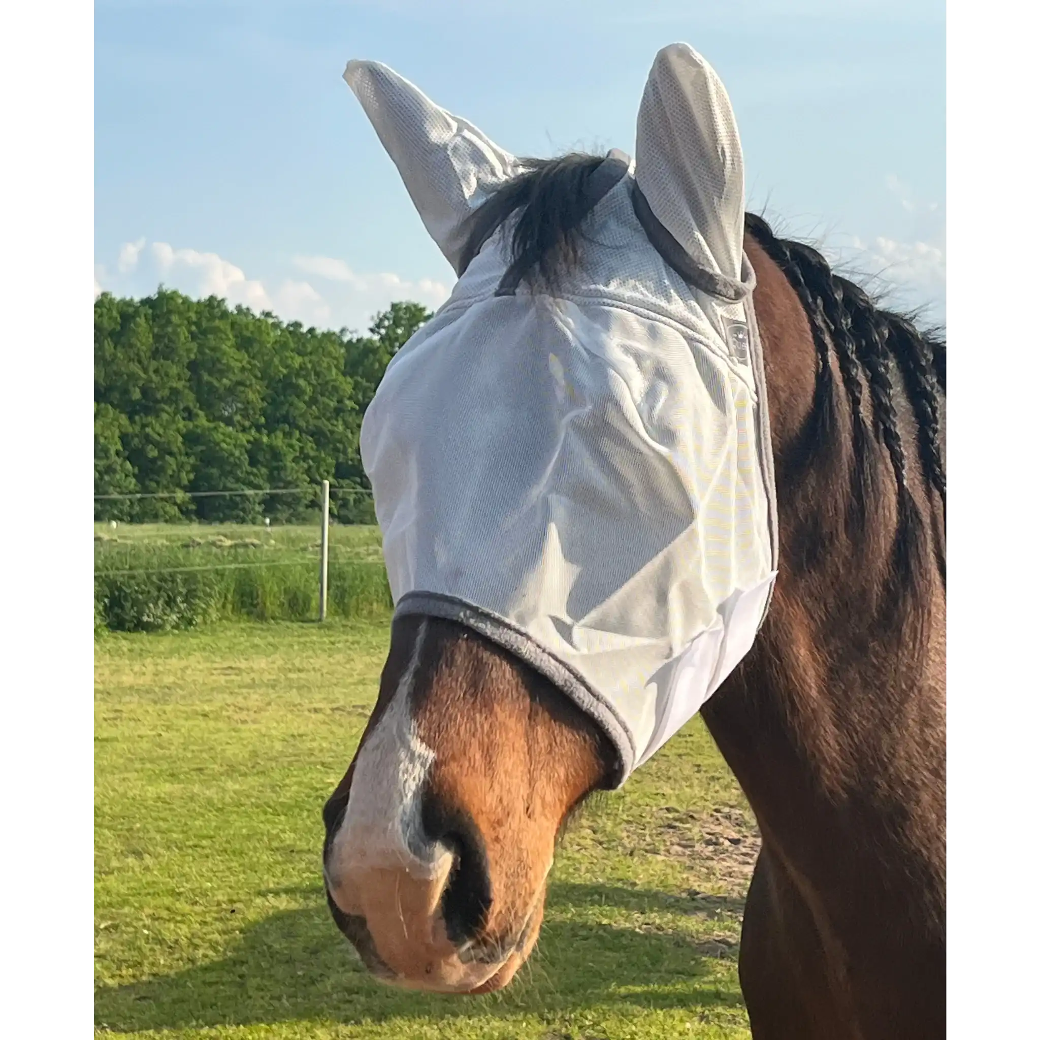 Fliegenmaske Mit Ohren Fliegenschutz Für Pferde Effektiver Schutz Gegen Fliegen Und Insekten Auf Weide Offenstall by s`Queed
