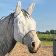 s'Queed Fliegenmaske mit Ohren für Pferde - Zuverlässiger Schutz vor Fliegen und
