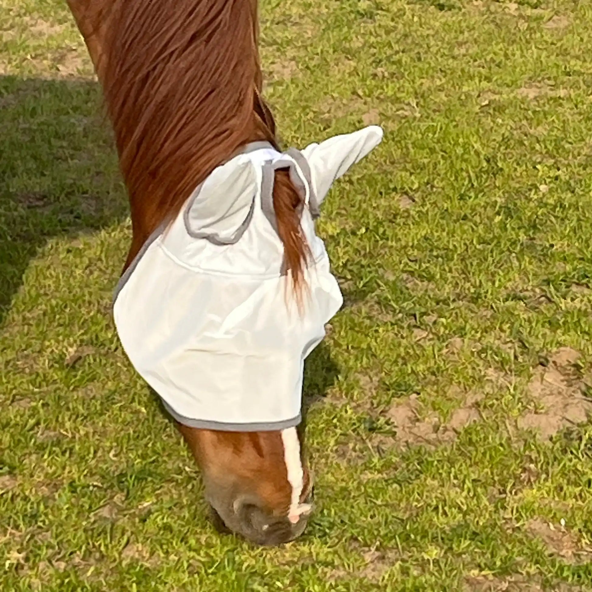 Fliegenmaske Mit Ohren Fliegenschutz Für Pferde Effektiver Schutz Gegen Fliegen Und Insekten Auf Weide Offenstall by s`Queed