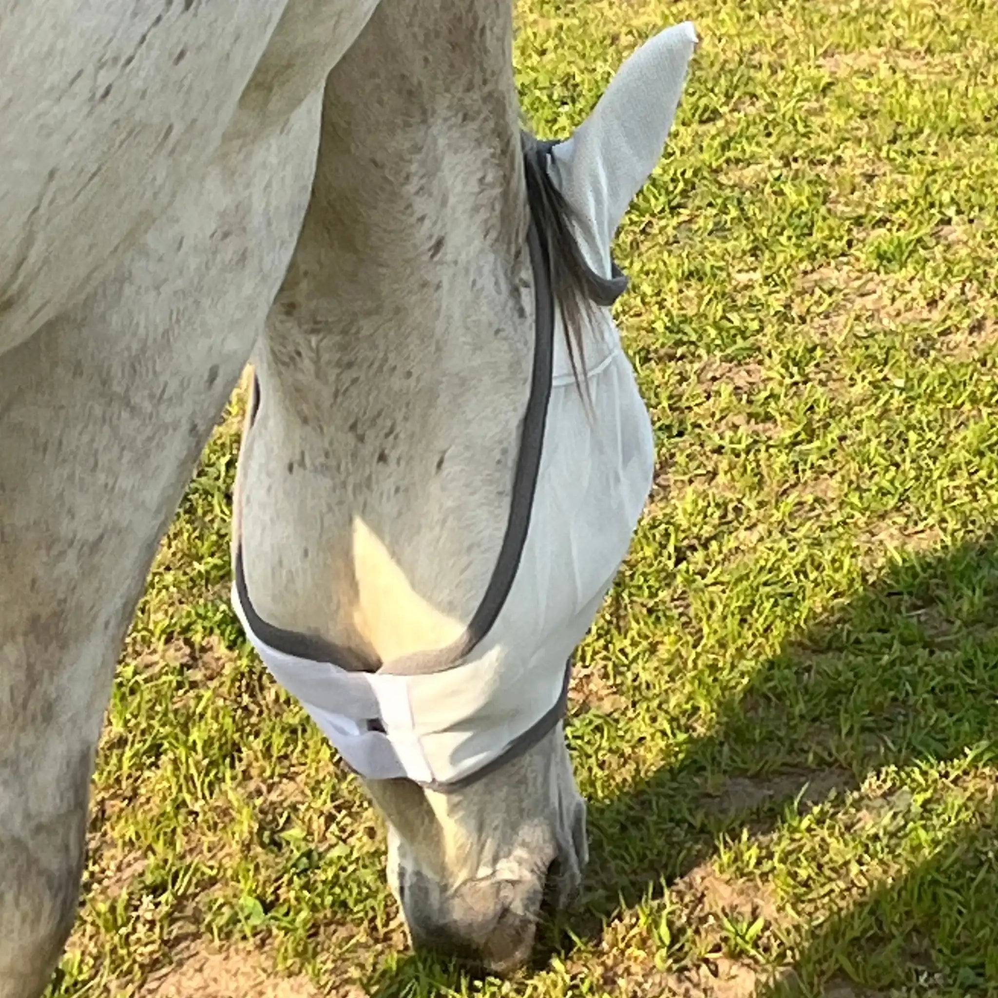 Fliegenmaske Mit Ohren Fliegenschutz Für Pferde Effektiver Schutz Gegen Fliegen Und Insekten Auf Weide Offenstall by s`Queed