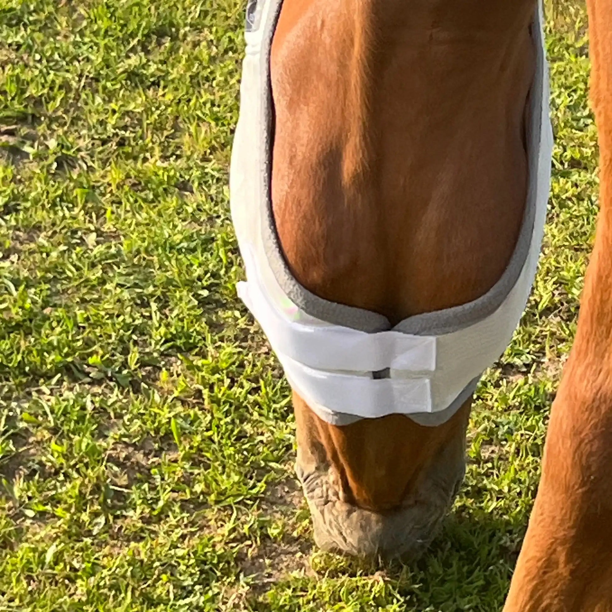 Fliegenmaske Mit Ohren Fliegenschutz Für Pferde Effektiver Schutz Gegen Fliegen Und Insekten Auf Weide Offenstall by s`Queed