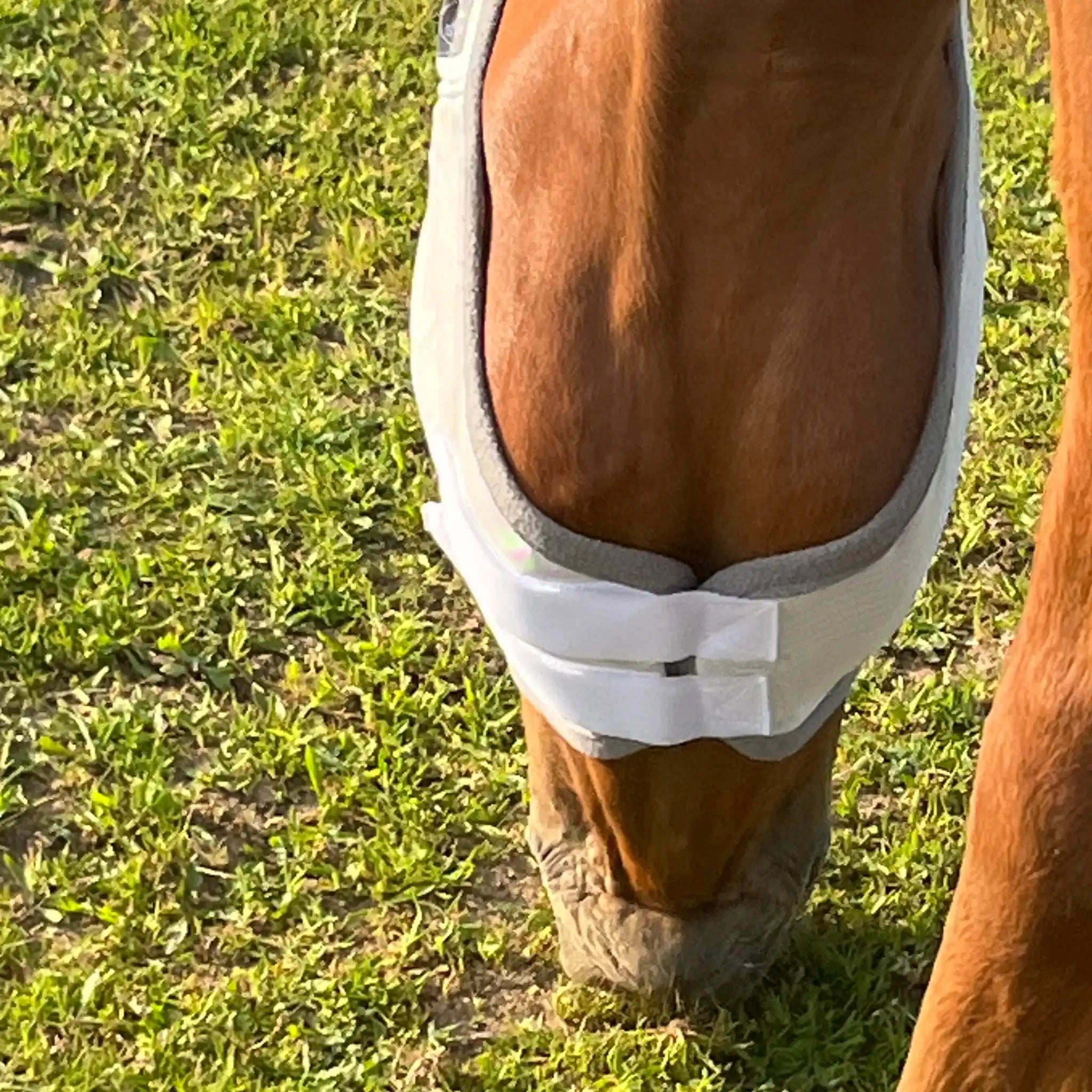 Fliegenmaske Mit Ohren Fliegenschutz Für Pferde Effektiver Schutz Gegen Fliegen Und Insekten Auf Weide Offenstall by s`Queed