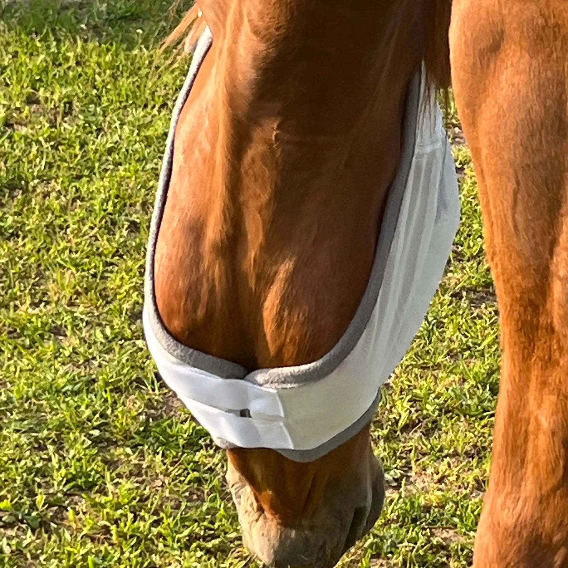 Fliegenmaske Mit Ohren Fliegenschutz Für Pferde Effektiver Schutz Gegen Fliegen Und Insekten Auf Weide Offenstall by s`Queed