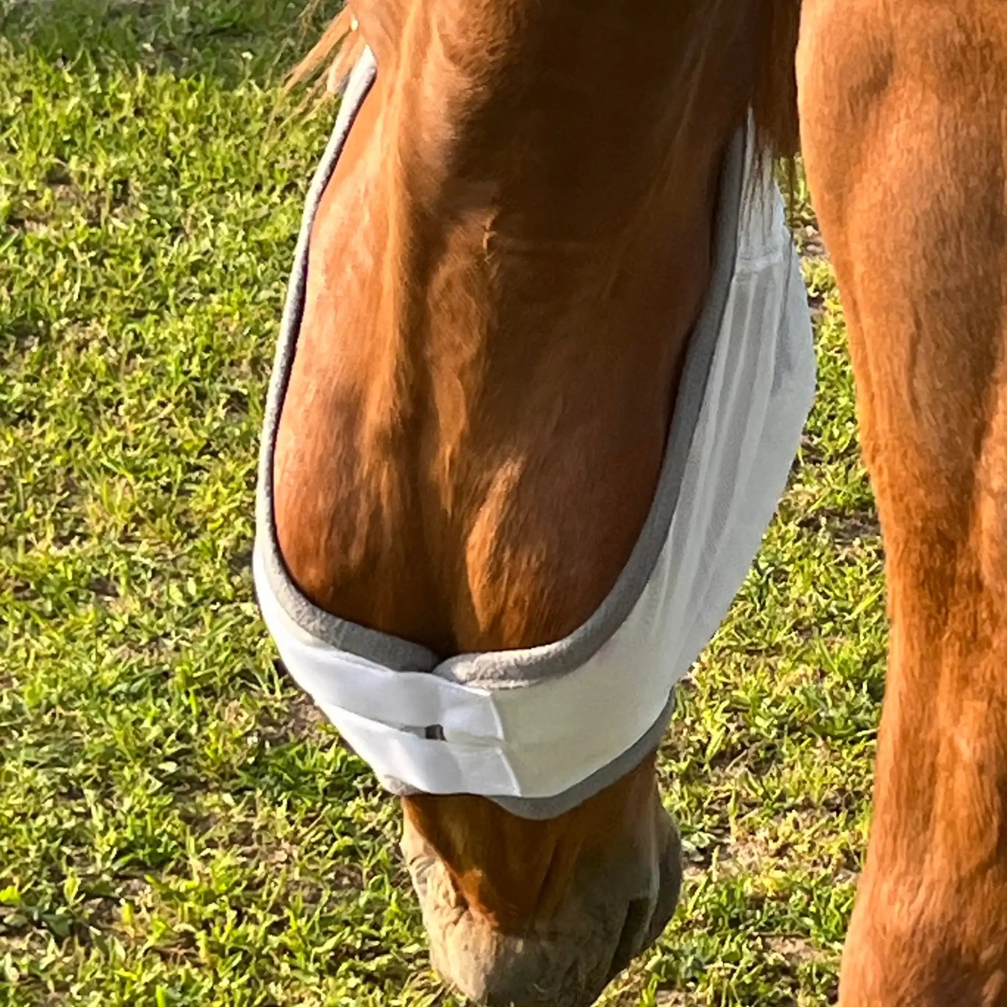 Fliegenmaske Mit Ohren Fliegenschutz Für Pferde Effektiver Schutz Gegen Fliegen Und Insekten Auf Weide Offenstall by s`Queed