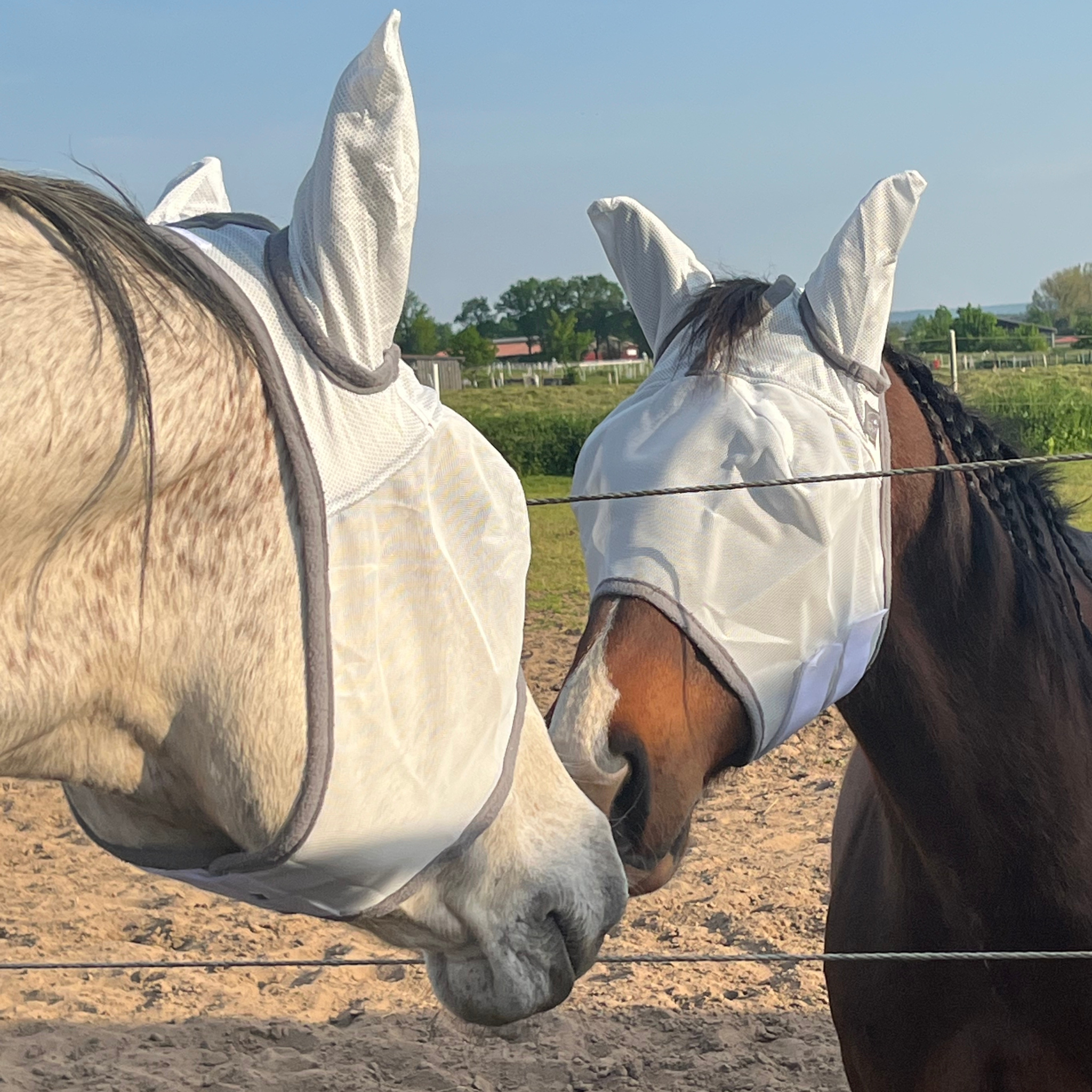 s'Queed Fliegenmaske mit Ohren für Pferde - Zuverlässiger Schutz vor Fliegen und