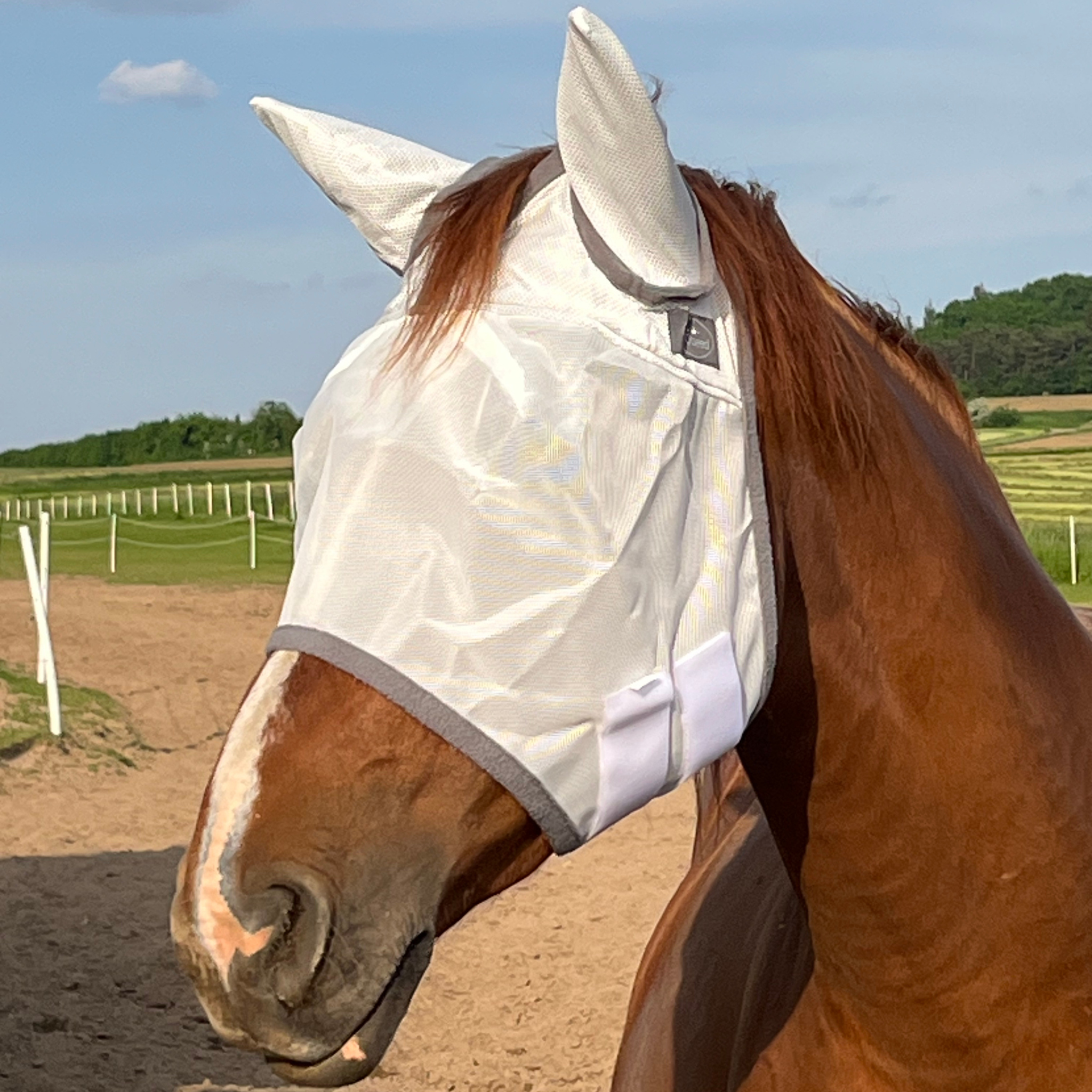 s'Queed Fliegenmaske mit Ohren für Pferde - Zuverlässiger Schutz vor Fliegen und