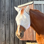 Fliegenmaske Mit Ohren Fliegenschutz Für Pferde Effektiver Schutz Gegen Fliegen Und Insekten Auf Weide Offenstall by s`Queed