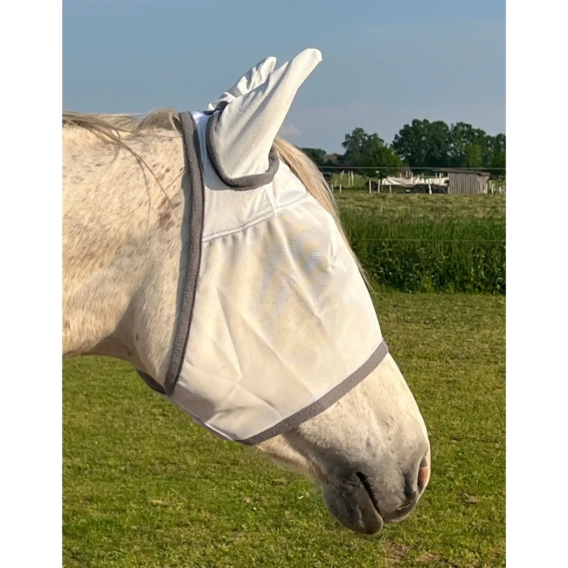 Fliegenmaske Mit Ohren Fliegenschutz Für Pferde Effektiver Schutz Gegen Fliegen Und Insekten Auf Weide Offenstall by s`Queed