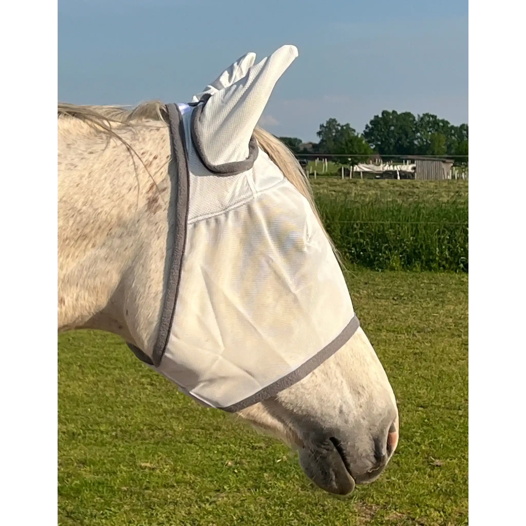 Fliegenmaske Mit Ohren Fliegenschutz Für Pferde Effektiver Schutz Gegen Fliegen Und Insekten Auf Weide Offenstall by s`Queed