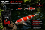 KENJI KOI Color & Growth Koifutter, 5 kg