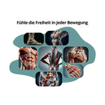 Gelenk+ Box - 14-Tage Intensivkur