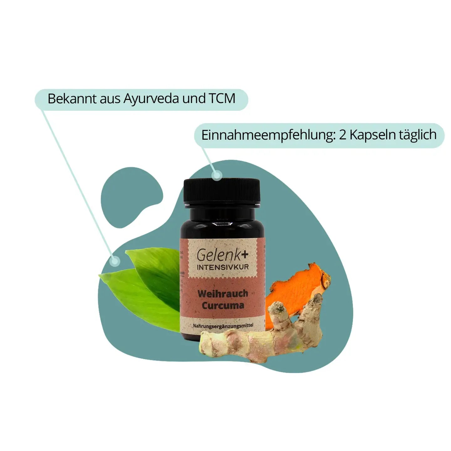 Gelenk+ Box - 14-Tage Intensivkur