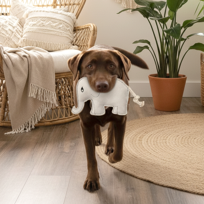 BUDDY. Hundespielzeug aus Leder "Elefant"