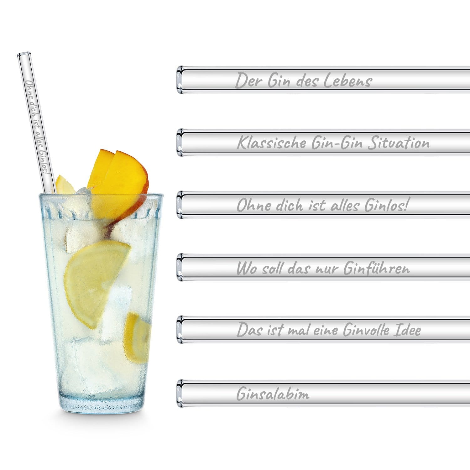 Der Gin des Lebens Edition gravierte mit 6 lustigen Gin Tonic Sprüchen