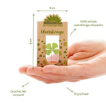 Glücksbringer – Echtes Kleeblatt