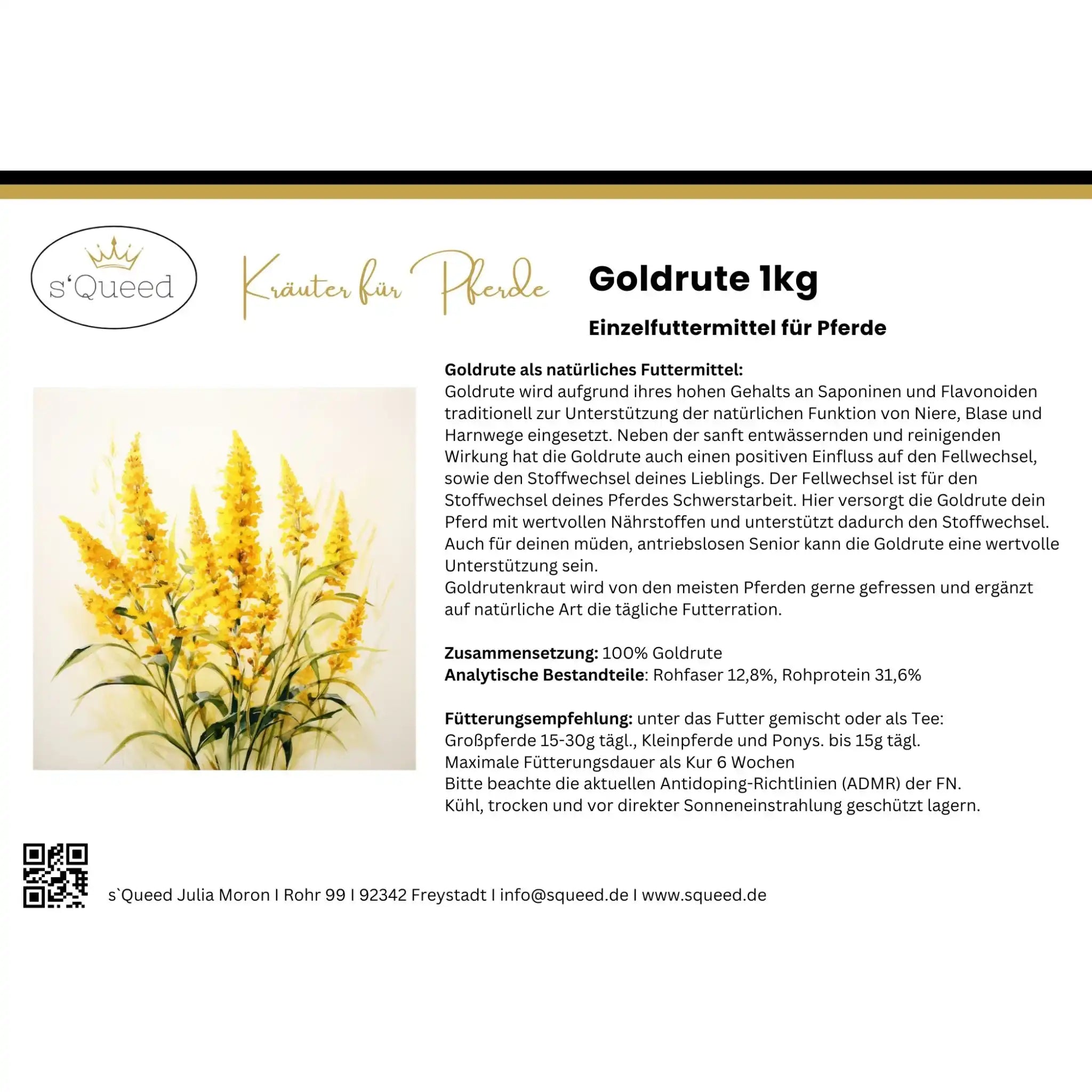 Goldrute Pferd Natürliche Unterstützung Bei Stoffwechselproblemen Nieren Blase Und Harnwege by s`Queed
