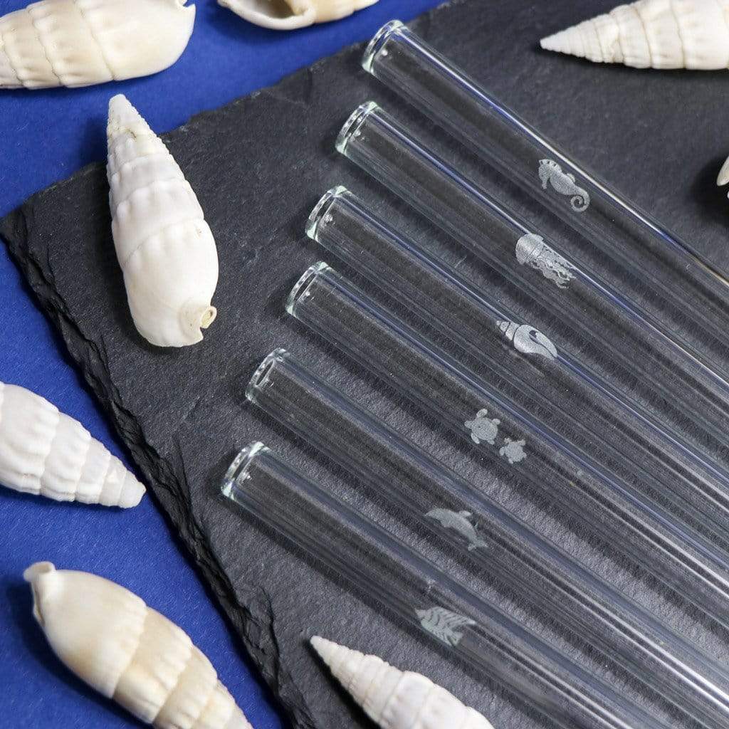 Sea Life Edition 6x Glasstrohhalme mit gravierten Motiven - 15cm, 20cm, 23cm