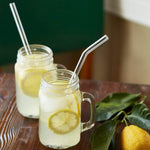 Glasstrohhalme Starter Set