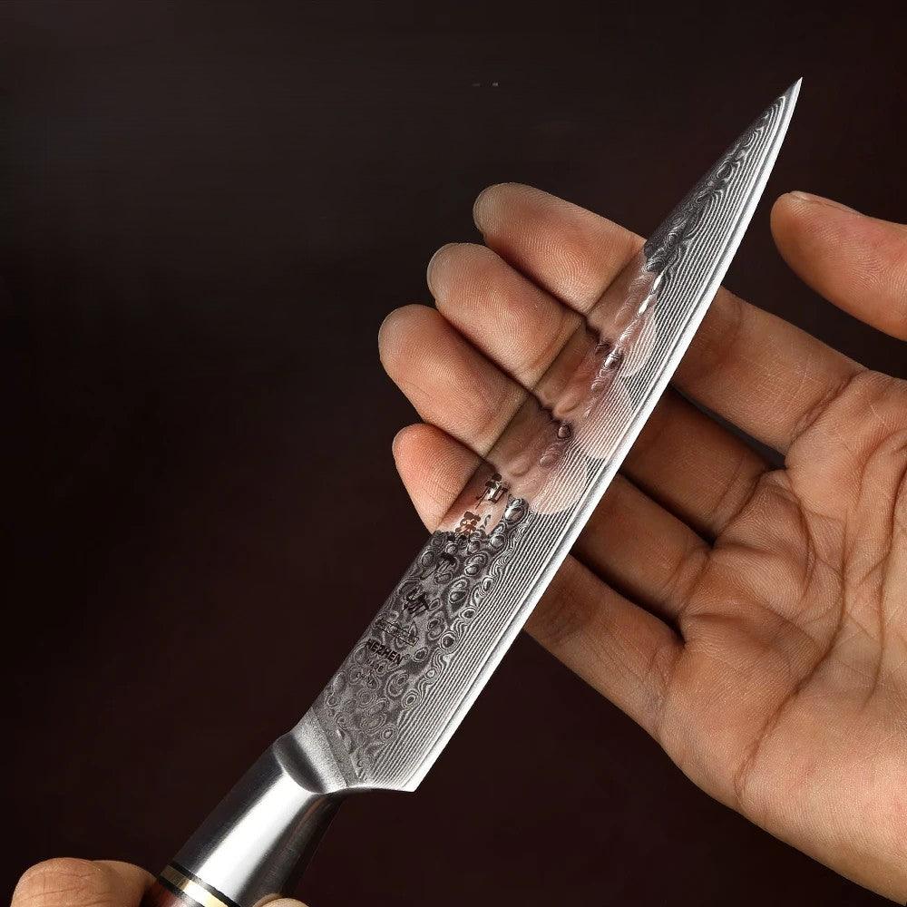 HEZHEN Santoku Damastmesser Master Series 5 Zoll Klinge 73 Lagen Premium Qualität