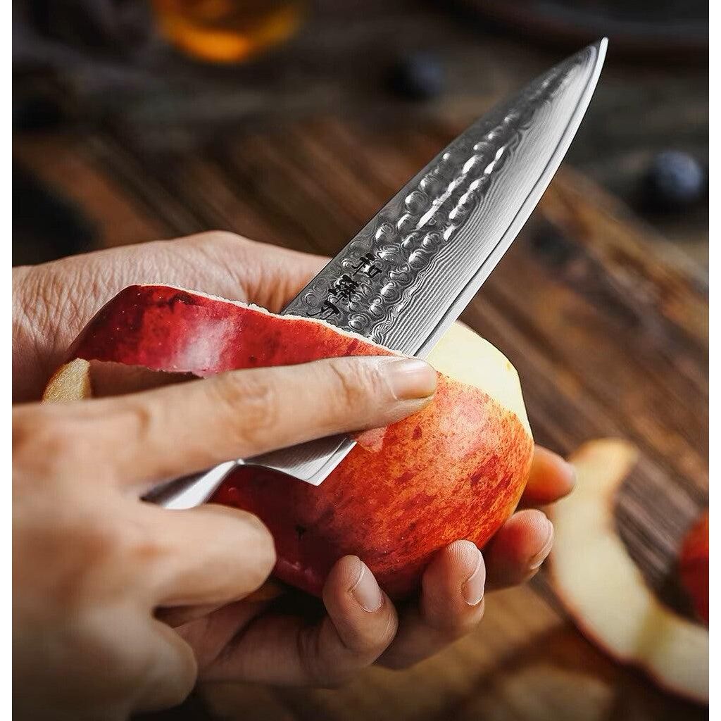 HEZHEN Santoku Damastmesser Master Series 5 Zoll Klinge 73 Lagen Premium Qualität