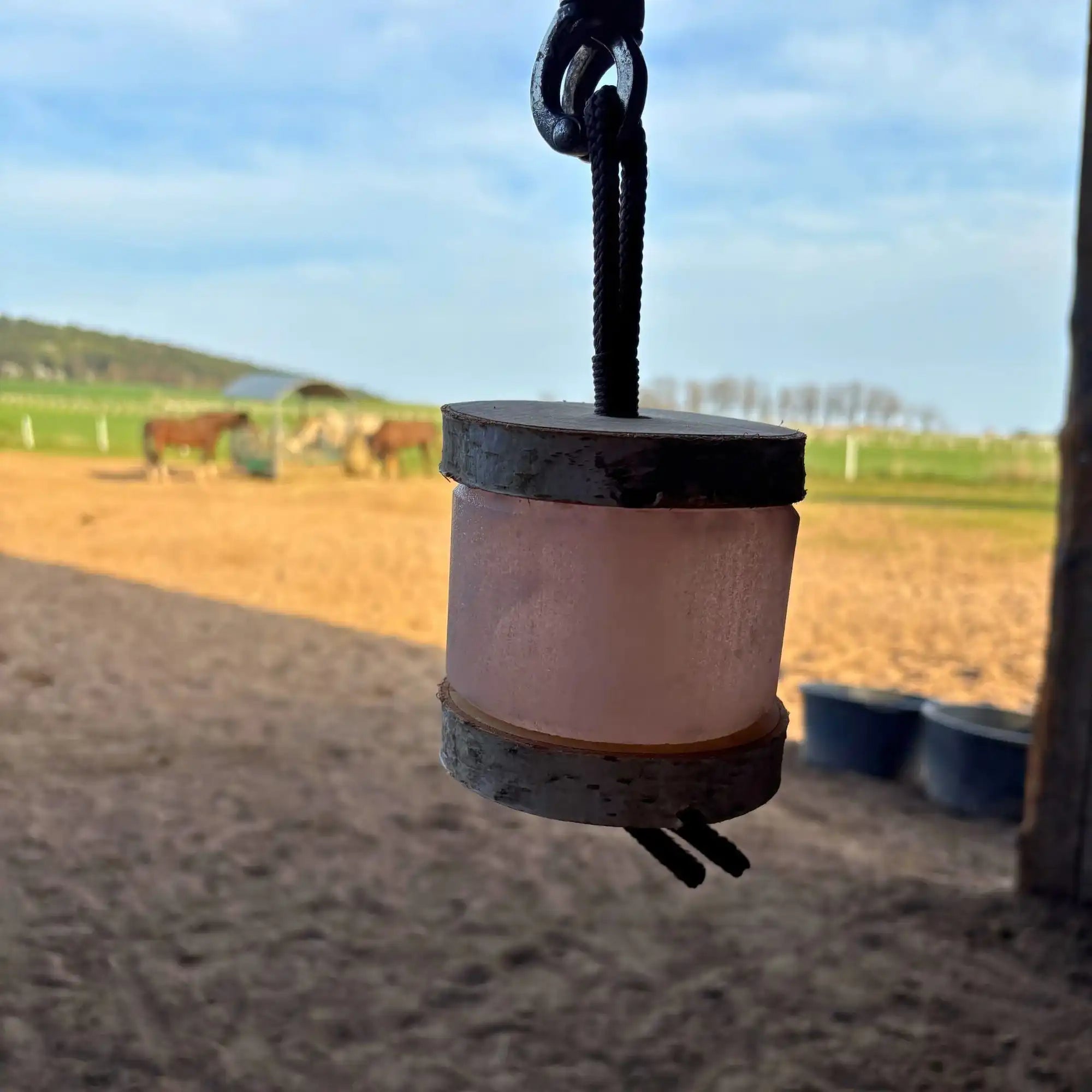 Himalaya Leckstein Set Mit Birkenholz Halterung Und Zwei Himalaya Salzlecksteine Je 1 Kg by s`Queed