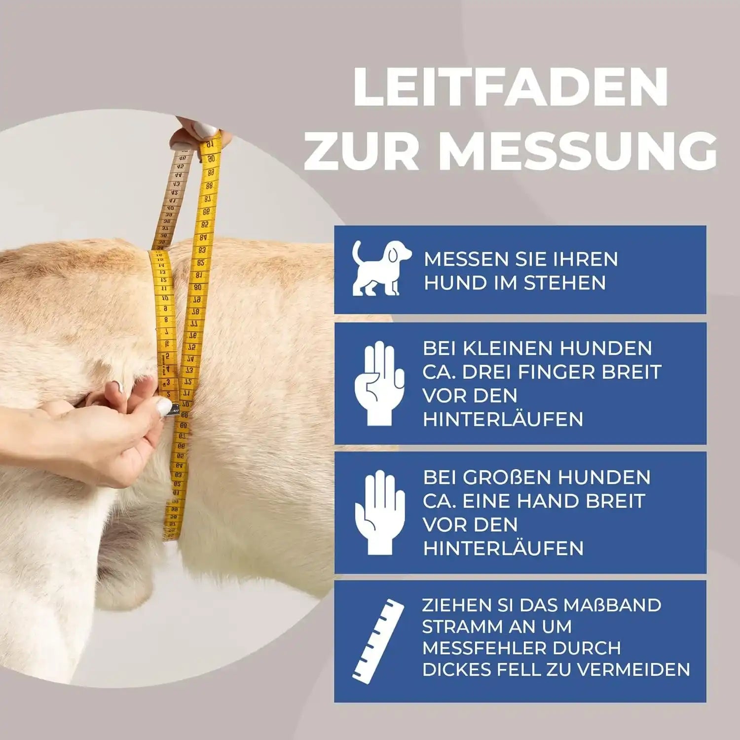 Läufigkeitshose für Hündinnen by Nature Pet