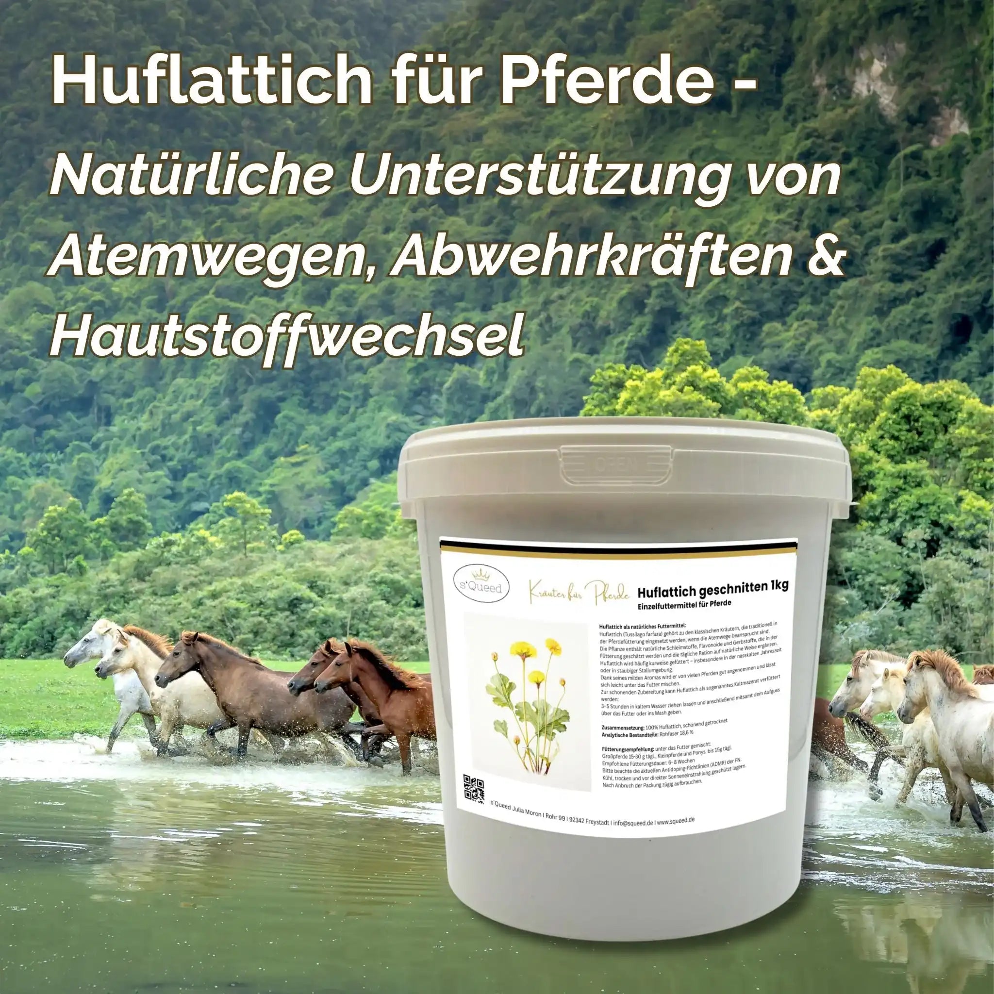 Huflattich Für Pferde 1kg Einzelfuttermittel Für Beanspruchte Atemwege Natürliches Kraut Für Die Atemwegsunterstützung by s`Queed
