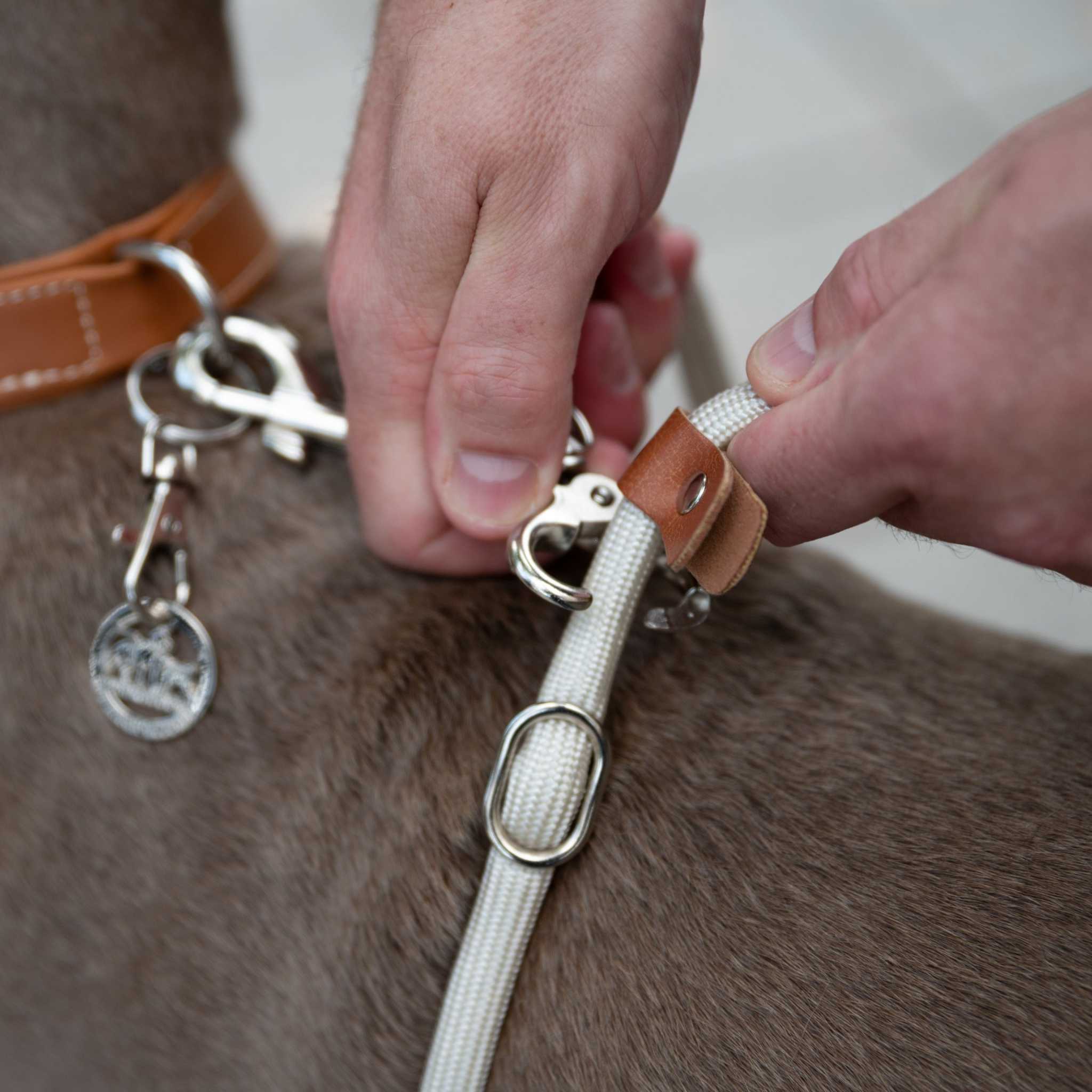 LeichtLaufLeine® Kurzleine und Übungsleine zur besseren Leinenführung