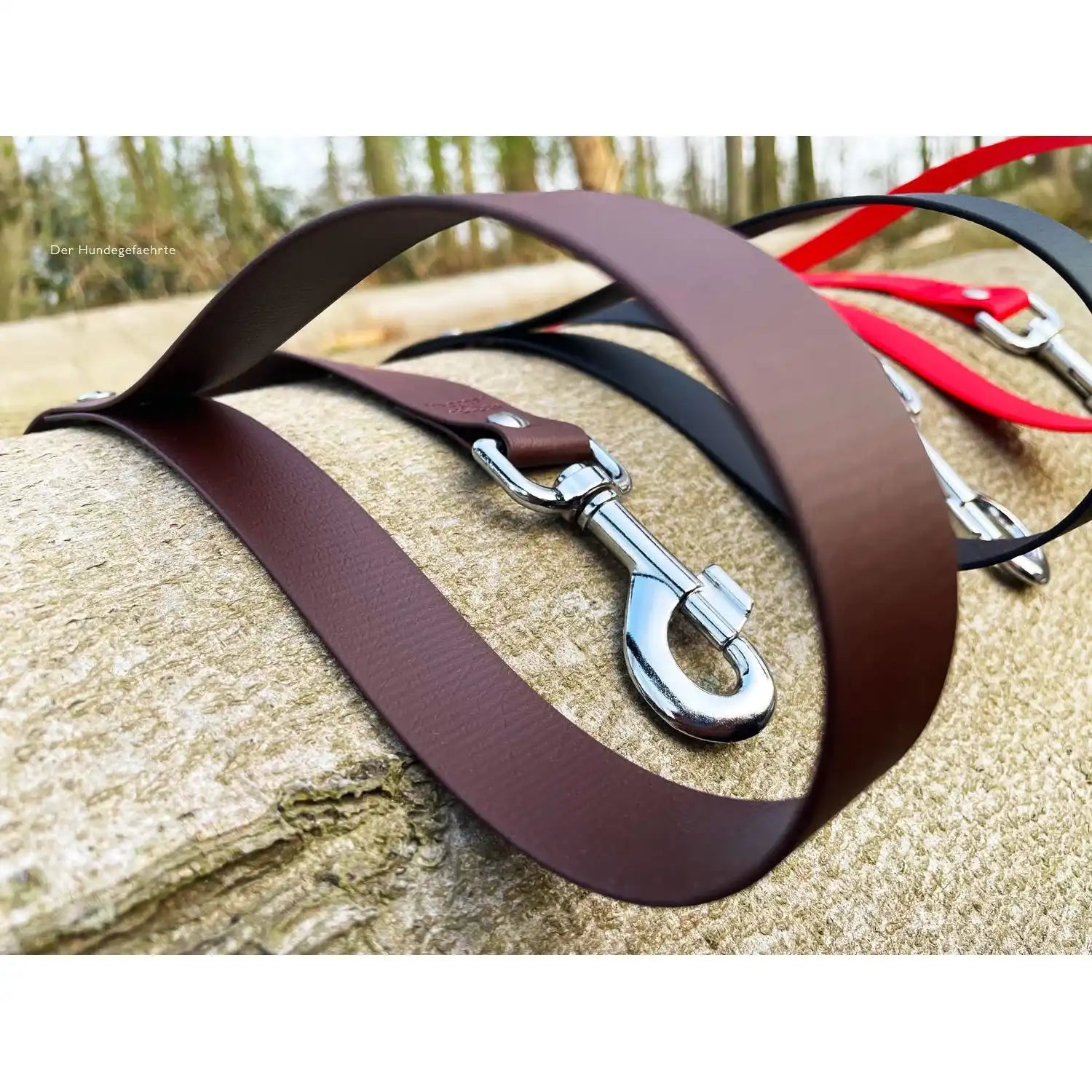 Hundeleine UM'S ECK (1,50 m) aus BioThane®/POP - Band by Der Hundegefährte