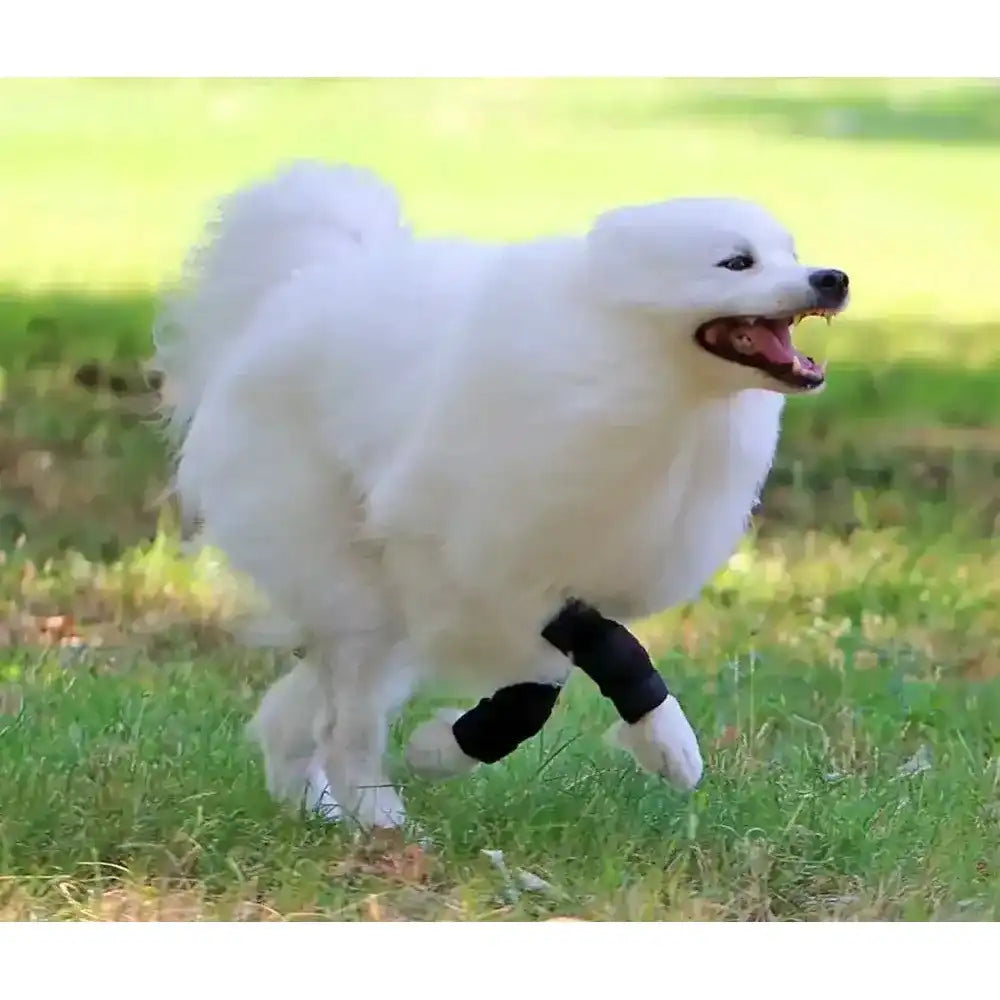 Sport Bandage für Hunde by Nature Pet