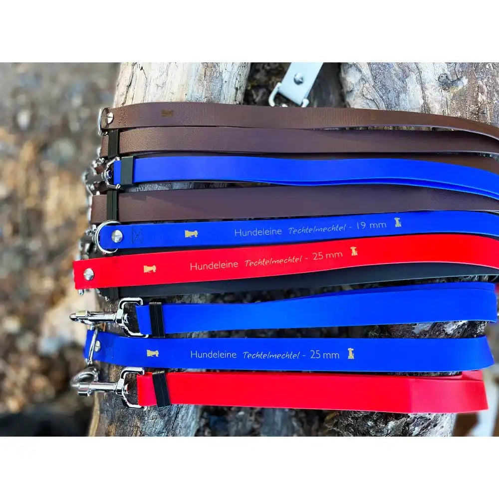 Doppelleine TECHTELMECHTEL aus BioThane®/Pop - Band by Der Hundegefährte