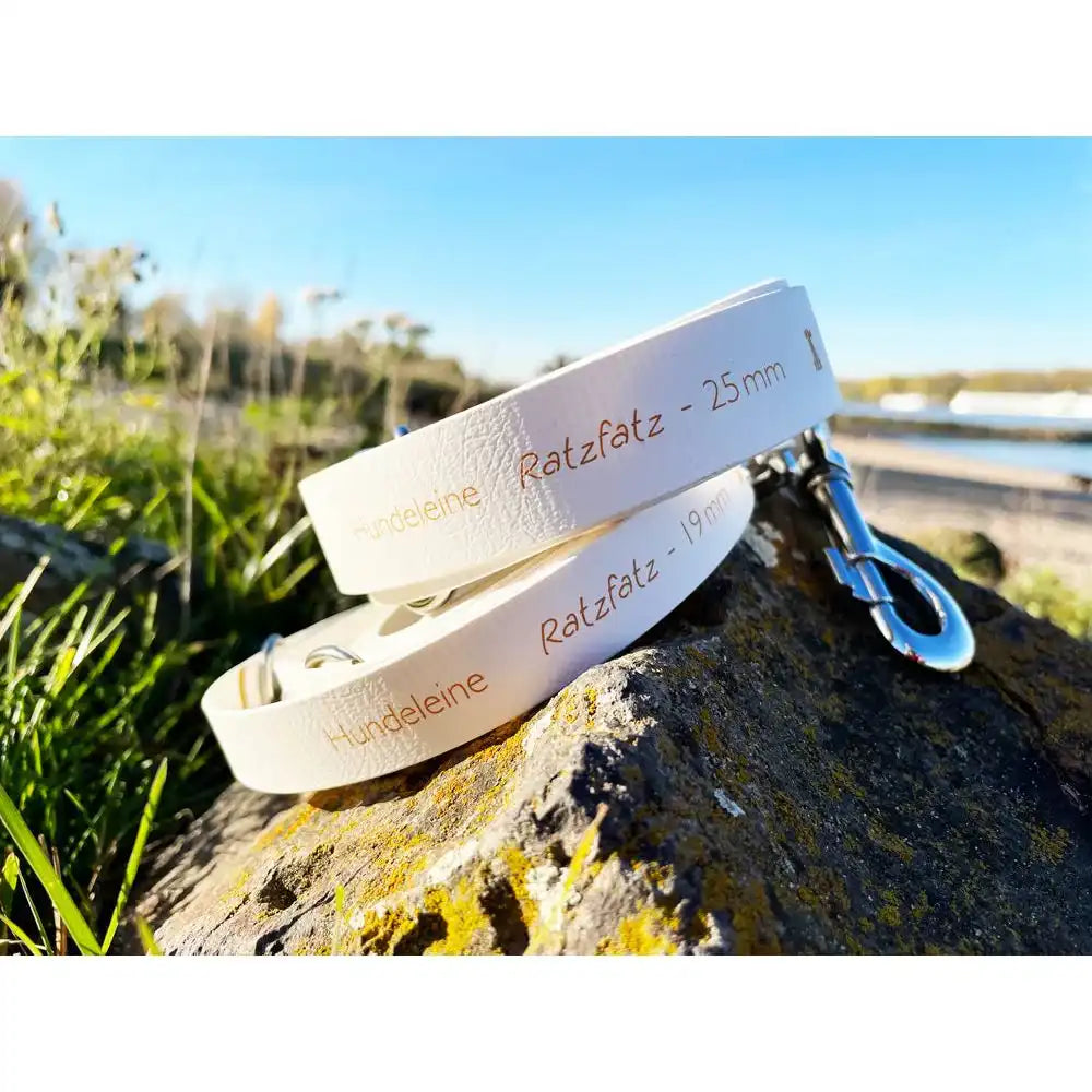 Hundeleine RATZFATZ aus BioThane®/POP - Band by Der Hundegefährte