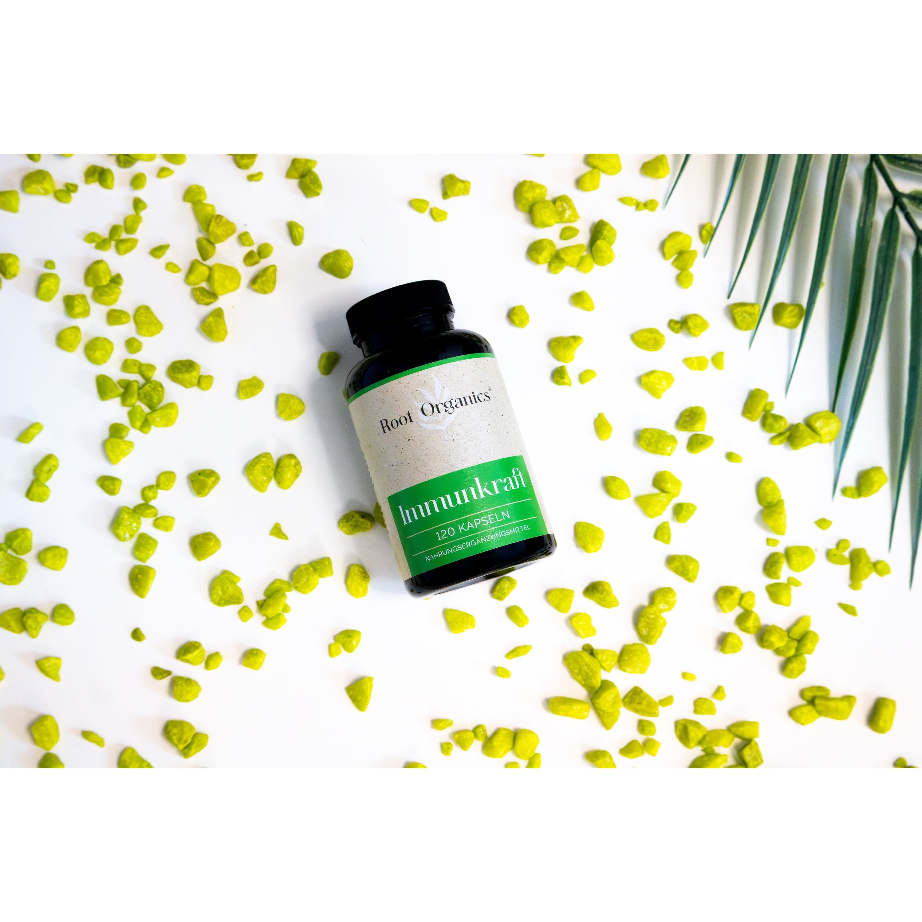 Immunkraft Kapseln