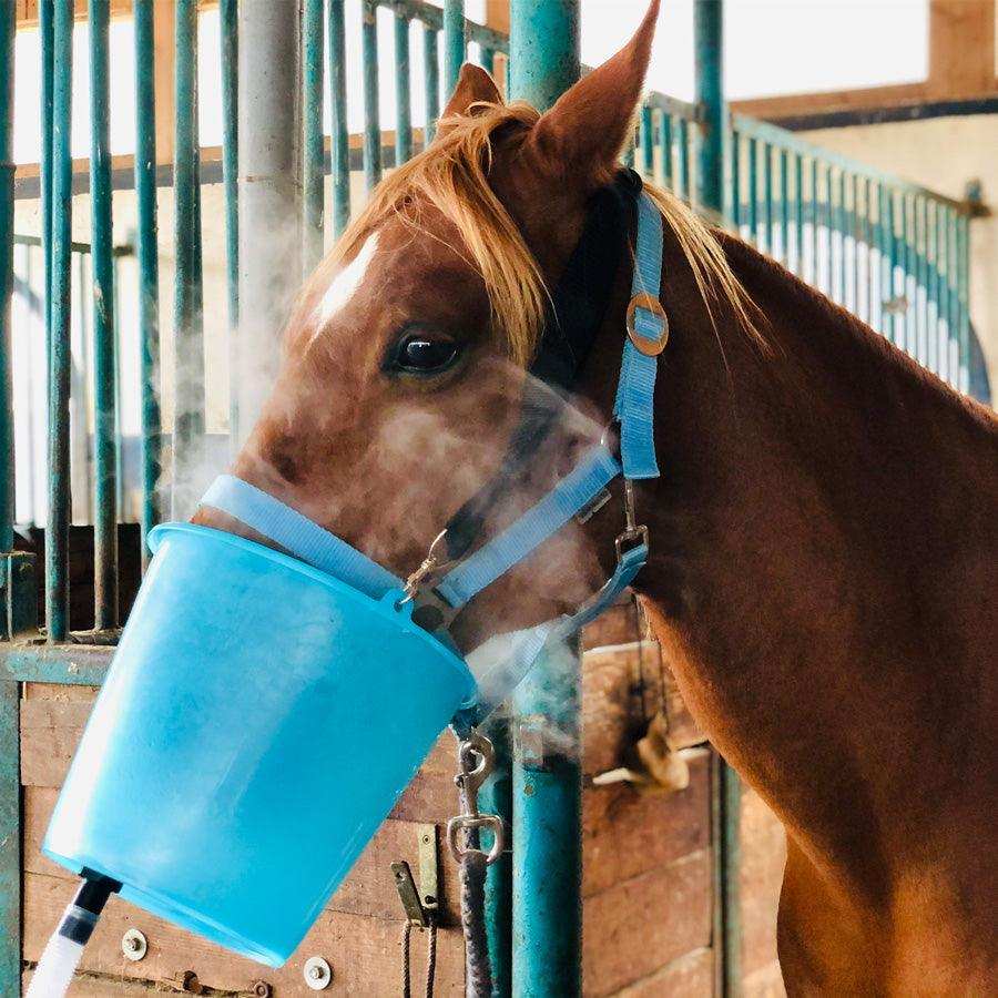 Equosonic Klinik Starter Paket mit zusätzlicher Powerbank für den Betrieb ohne Stromanschluss by Medizintechnik Hartwig GmbH