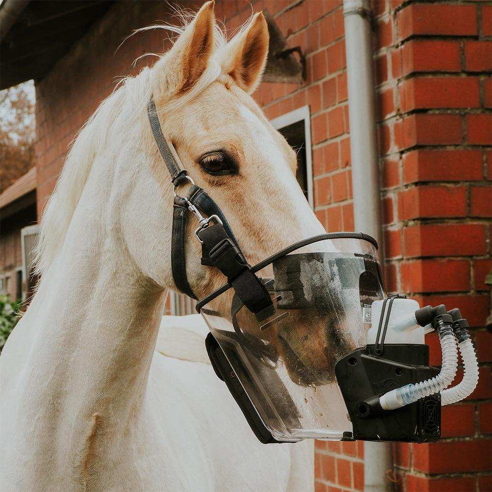 Inhalator für Pferde equosonic free Starterpaket by Medizintechnik Hartwig GmbH