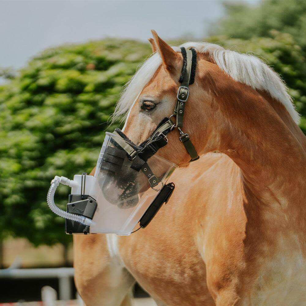 Inhalator für Pferde equosonic free Starterpaket by Medizintechnik Hartwig GmbH