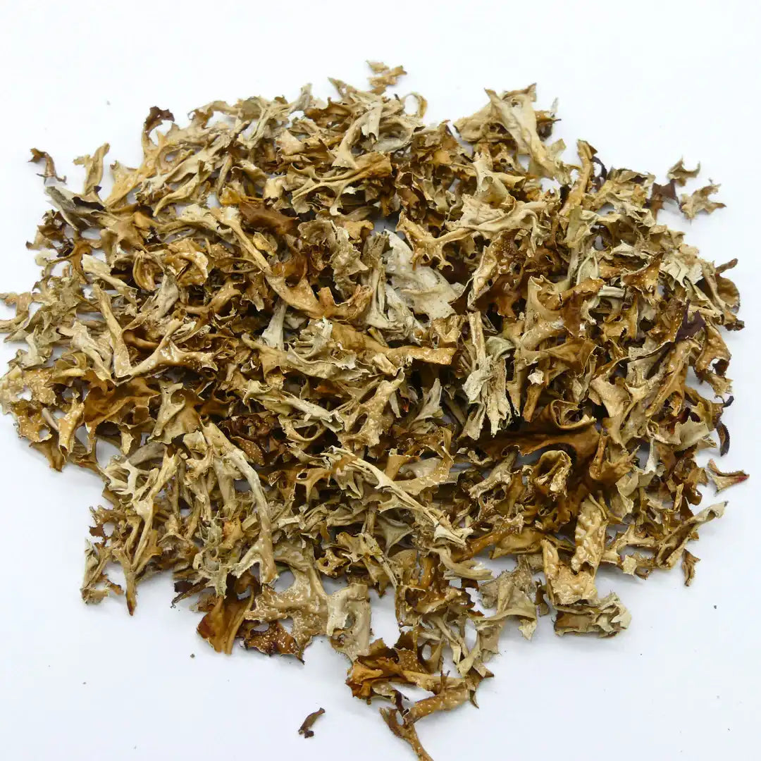 Isländisch Moos Für Pferde 1 Kg Pflanzliche Ergänzung Für Atemwege Und Verdauung Bei Pferden by s`Queed