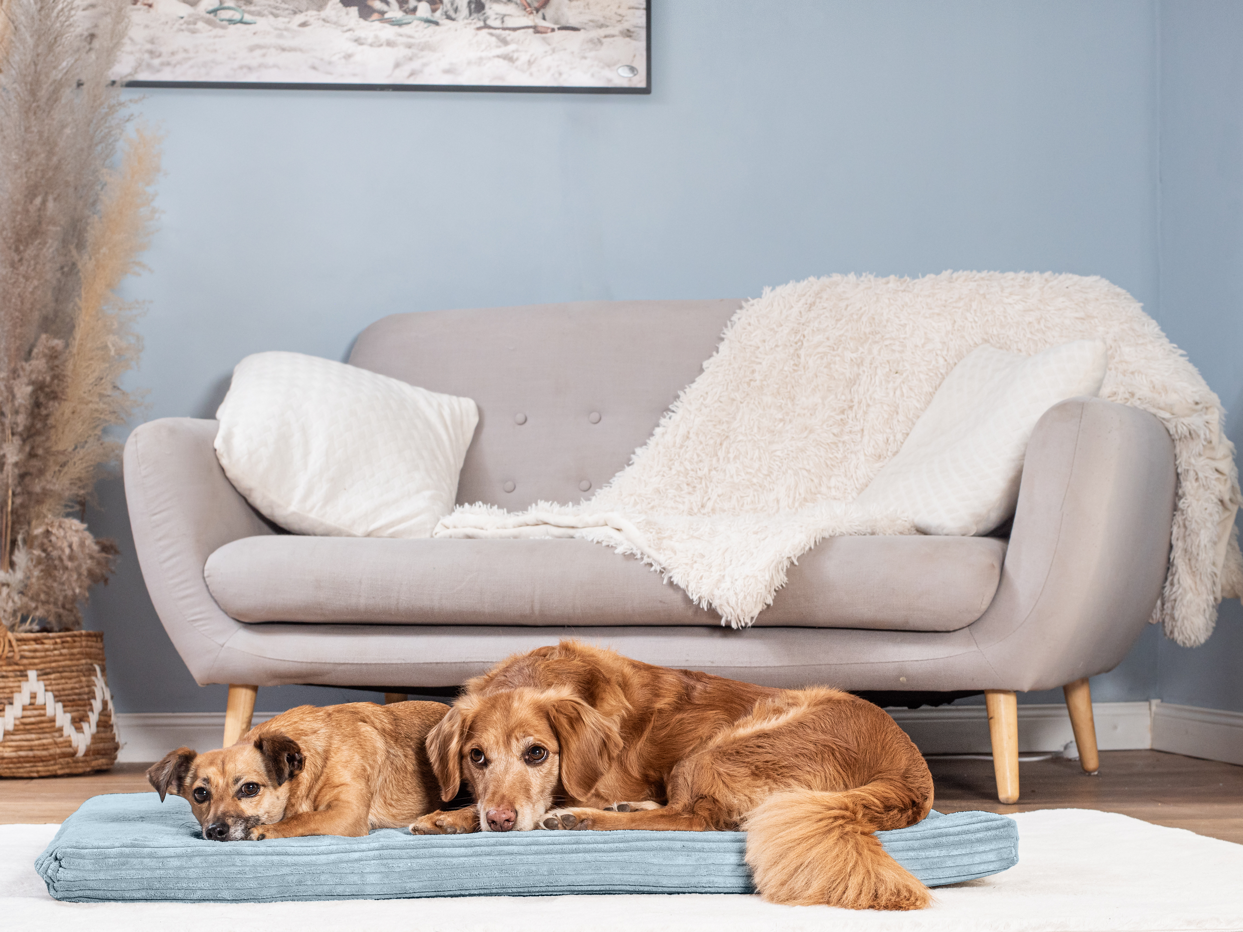 Hundeliegematte JOKKMOKK Cord