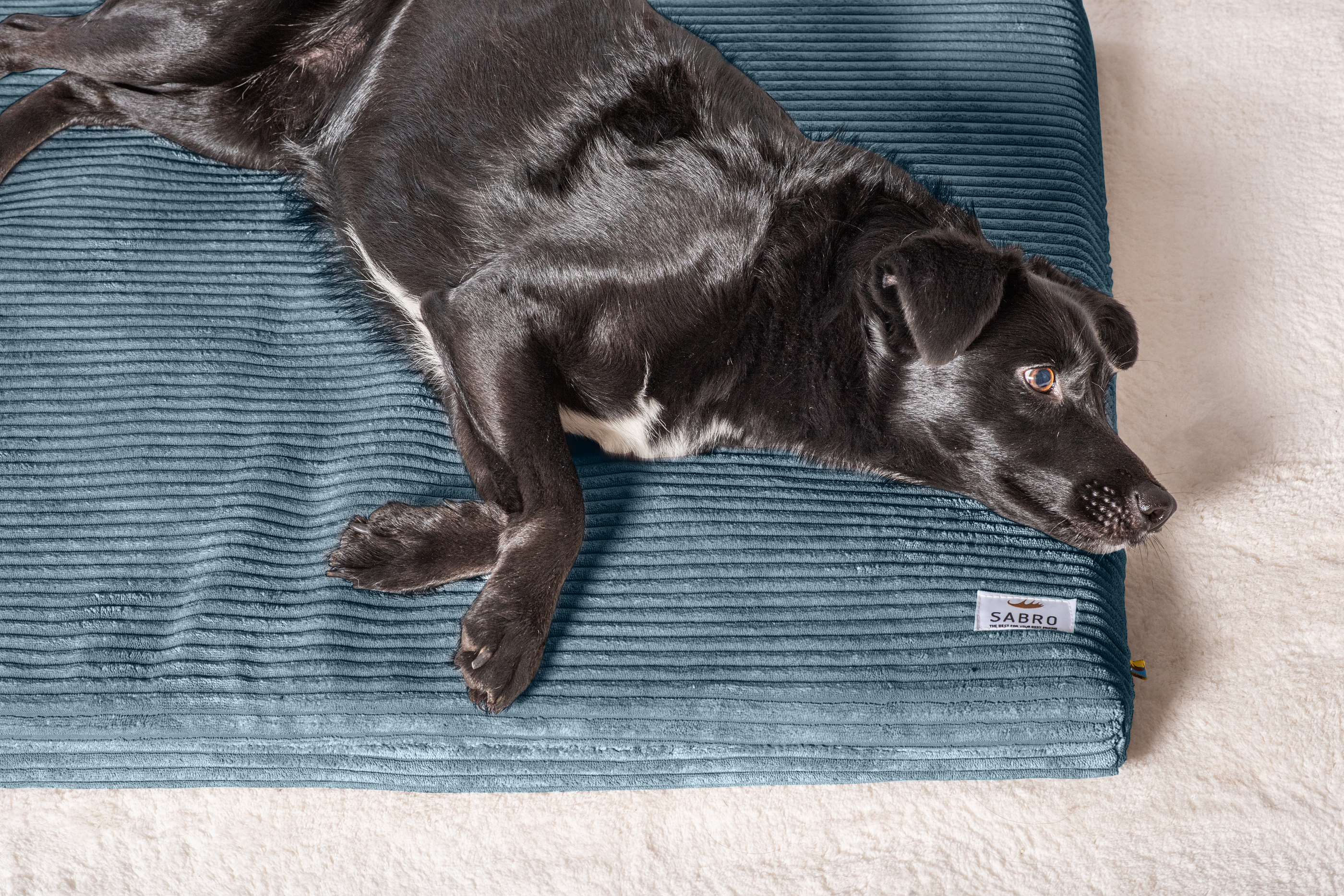 Hundeliegematte JOKKMOKK Cord