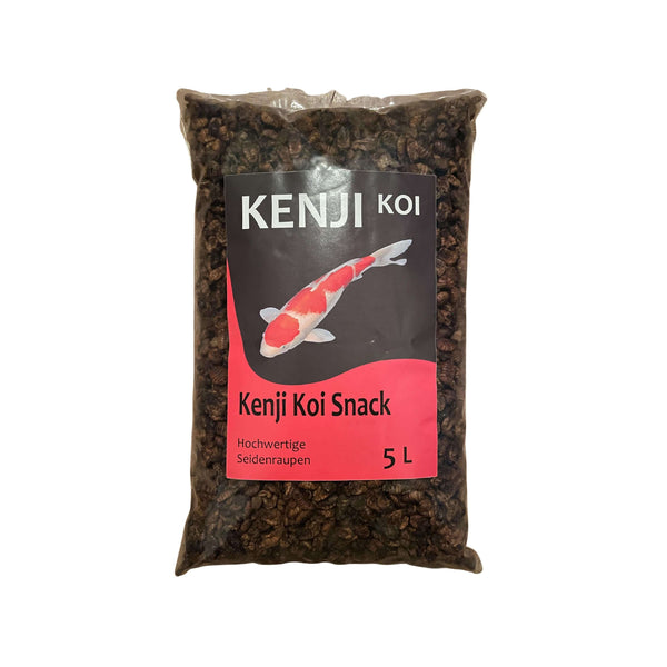 KENJI KOI Snack - Seidenraupen