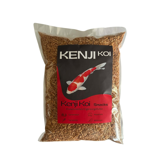 KENJI KOI Snack - Bachflohkrebse