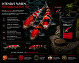 KENJI KOI Color Intense Farbfutter, 5 kg